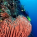 sponge_barrel_jg_v_0705_png0819.jpg